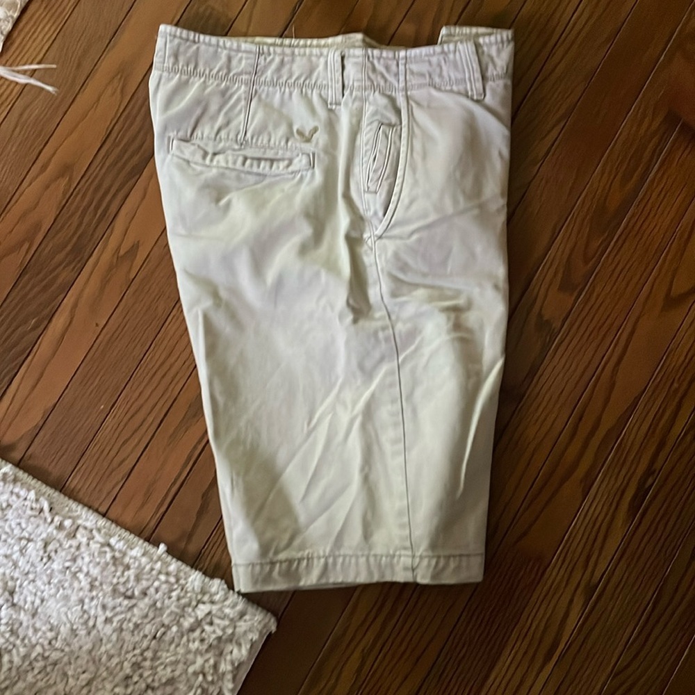 Mens American Eagle  Longboard Shorts